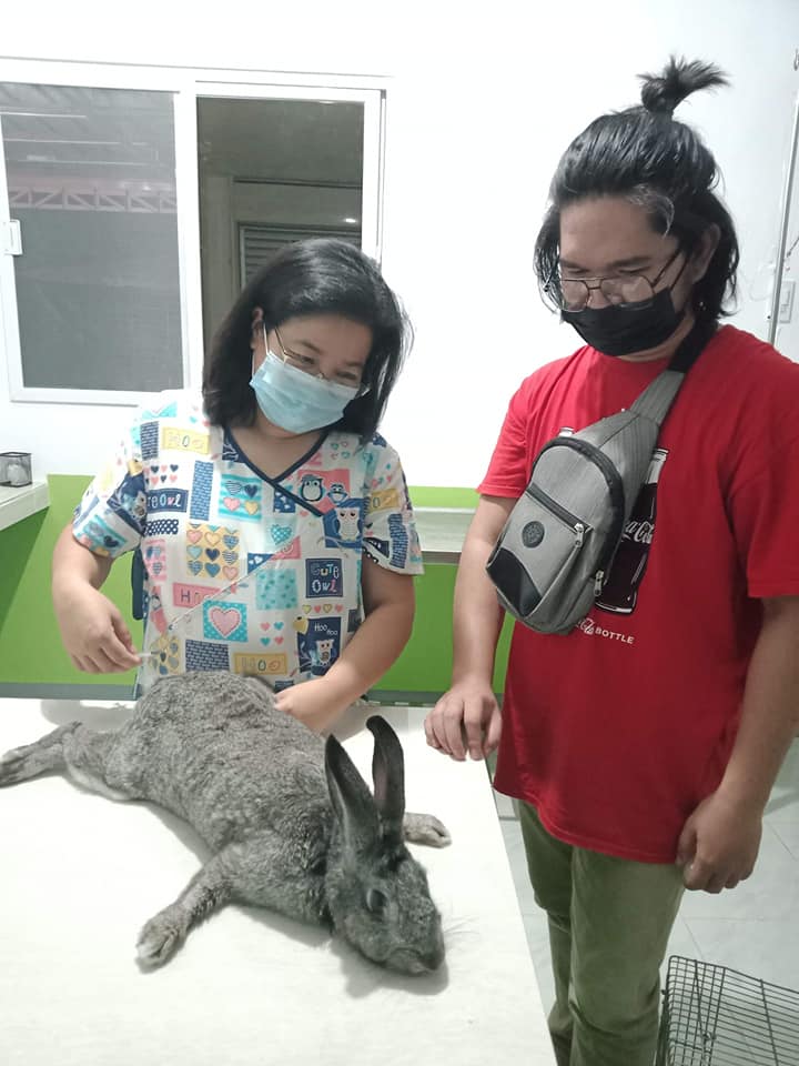 Pet 5