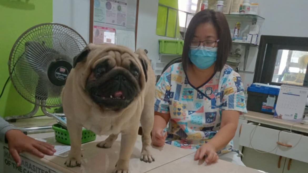 Regular Check Up
