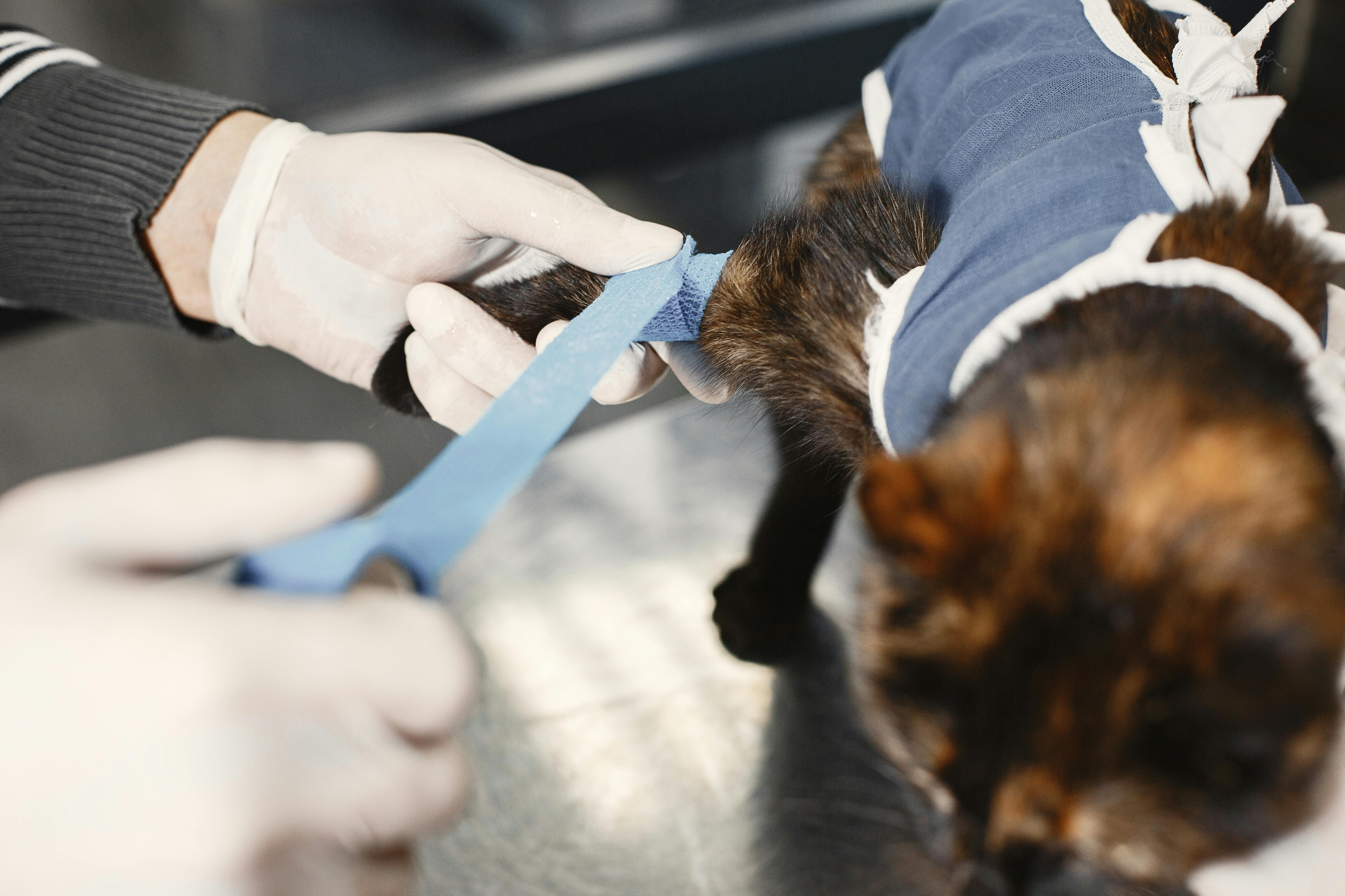 Surgical Procedure